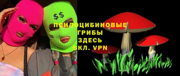 прущий лед Михайлов