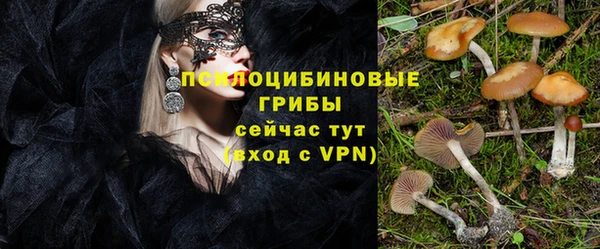 бошки Михайловск