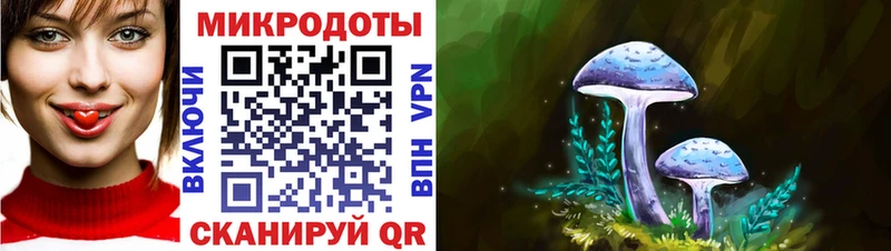 Псилоцибиновые грибы мицелий  Никольск 