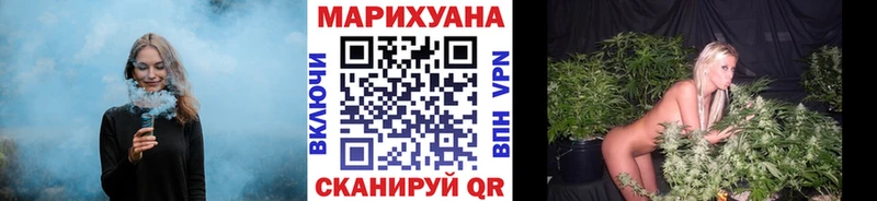 Конопля сатива  Никольск 